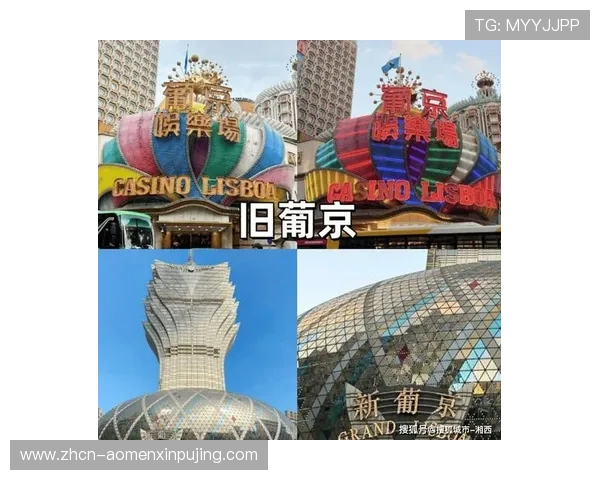 新葡京集团官网：如何通过官网获取最新的优惠信息和客户服务支持