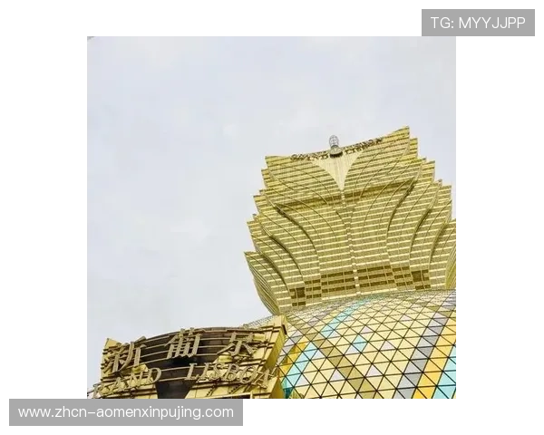 澳门新葡京网页版官方登录入口安全稳定，提供多样化游戏体验满足不同玩家需求